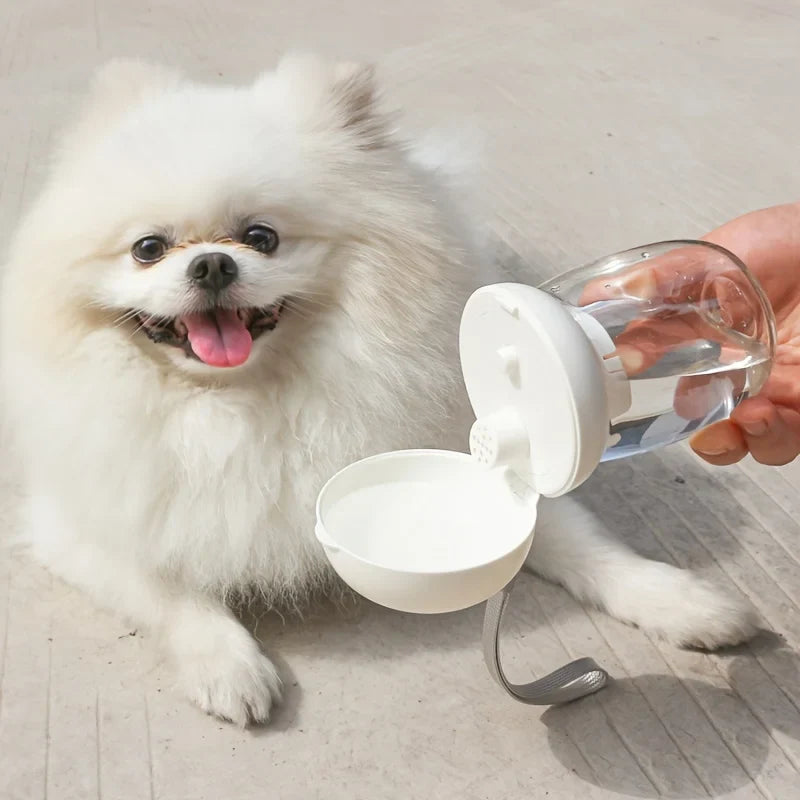 Portable Pet Water Feeder