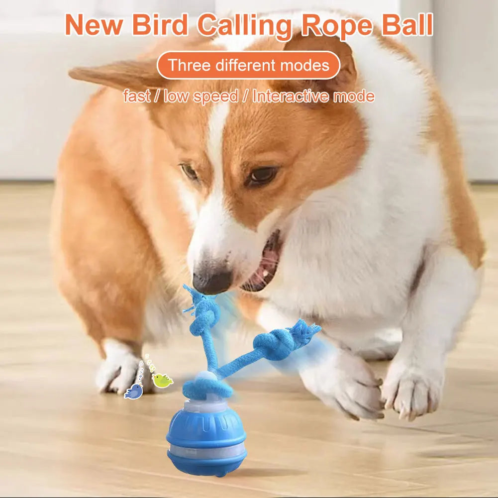 Interactive Motion Rolling Ball for Dogs