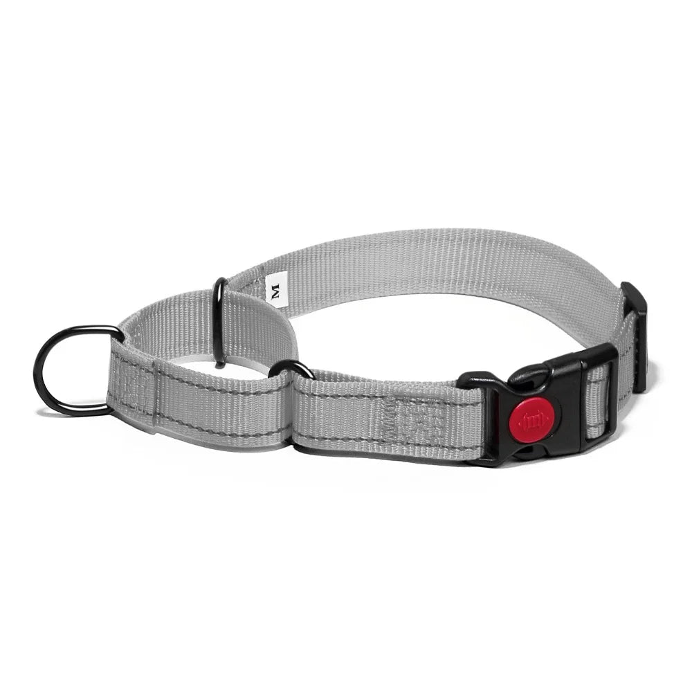 Adjustable Nylon Dog Collar with Safety Lock (2-in-1 Chain)
