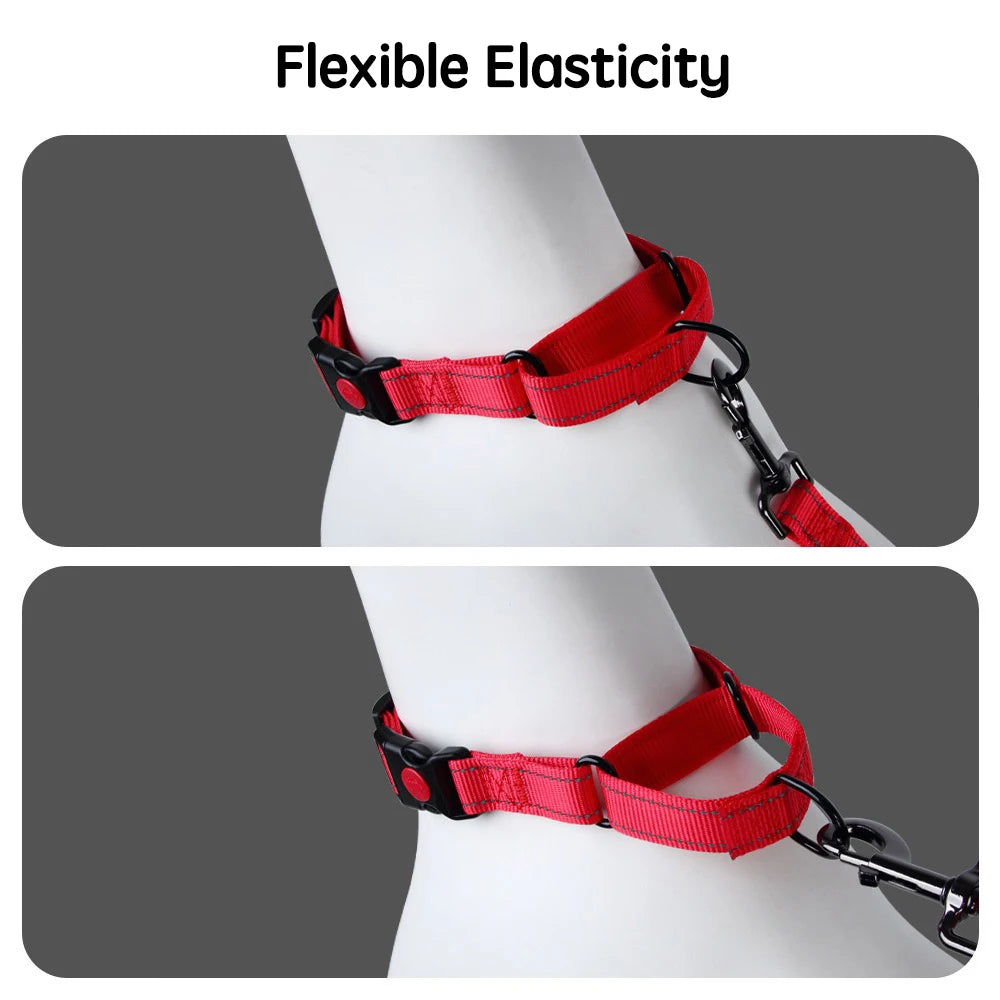 Adjustable Nylon Dog Collar with Safety Lock (2-in-1 Chain)