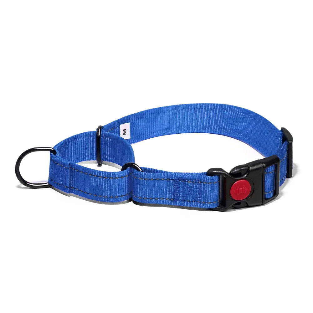 Adjustable Nylon Dog Collar with Safety Lock (2-in-1 Chain)
