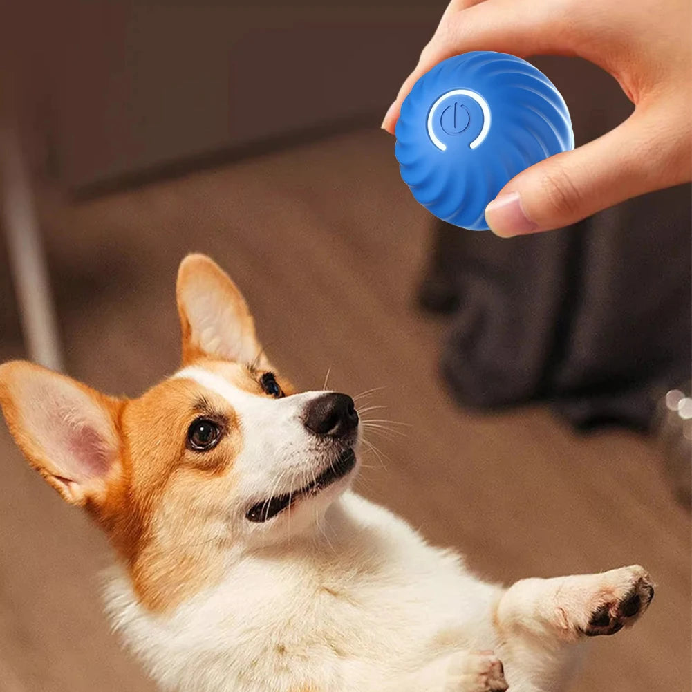 BounceBuddy™ Interactive Pet Ball