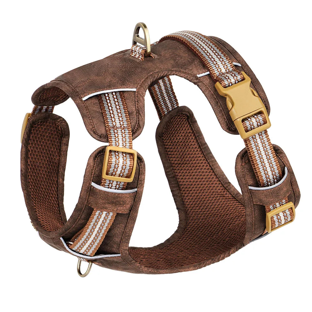 Dog Harness
