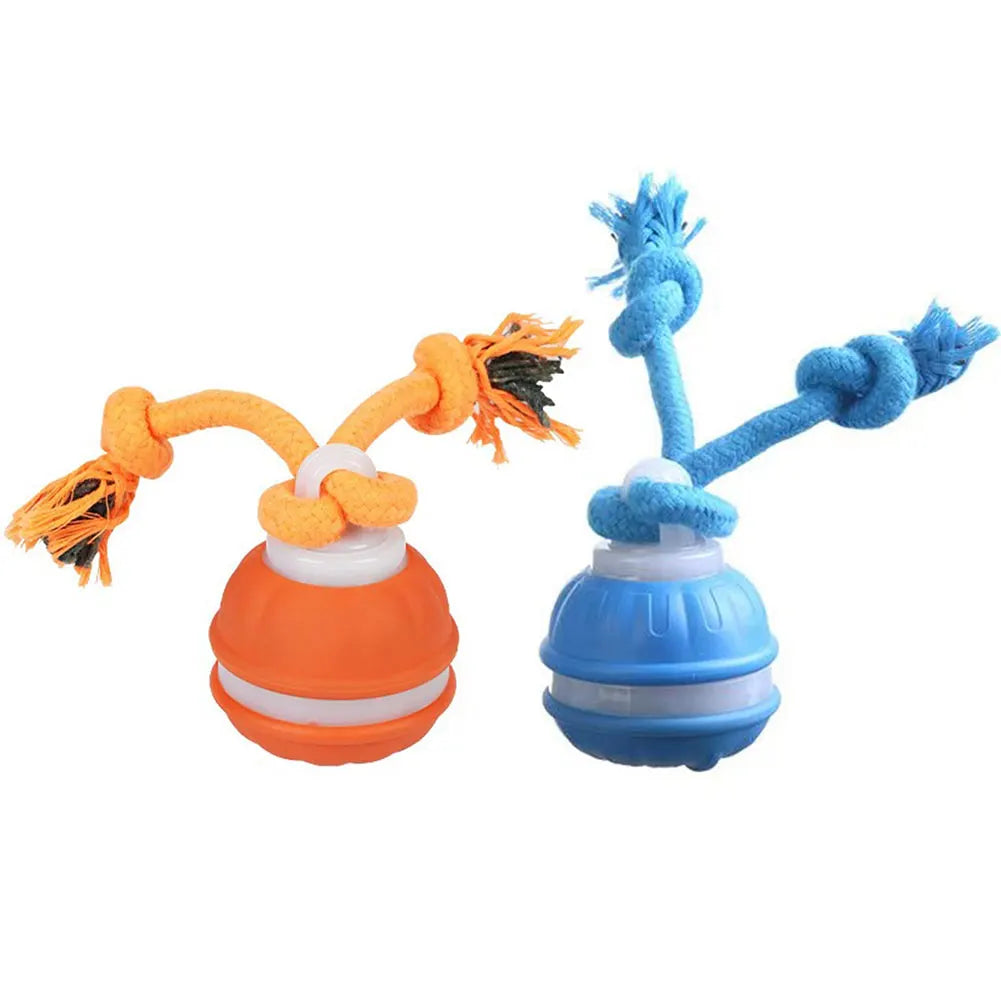 Interactive Motion Rolling Ball for Dogs