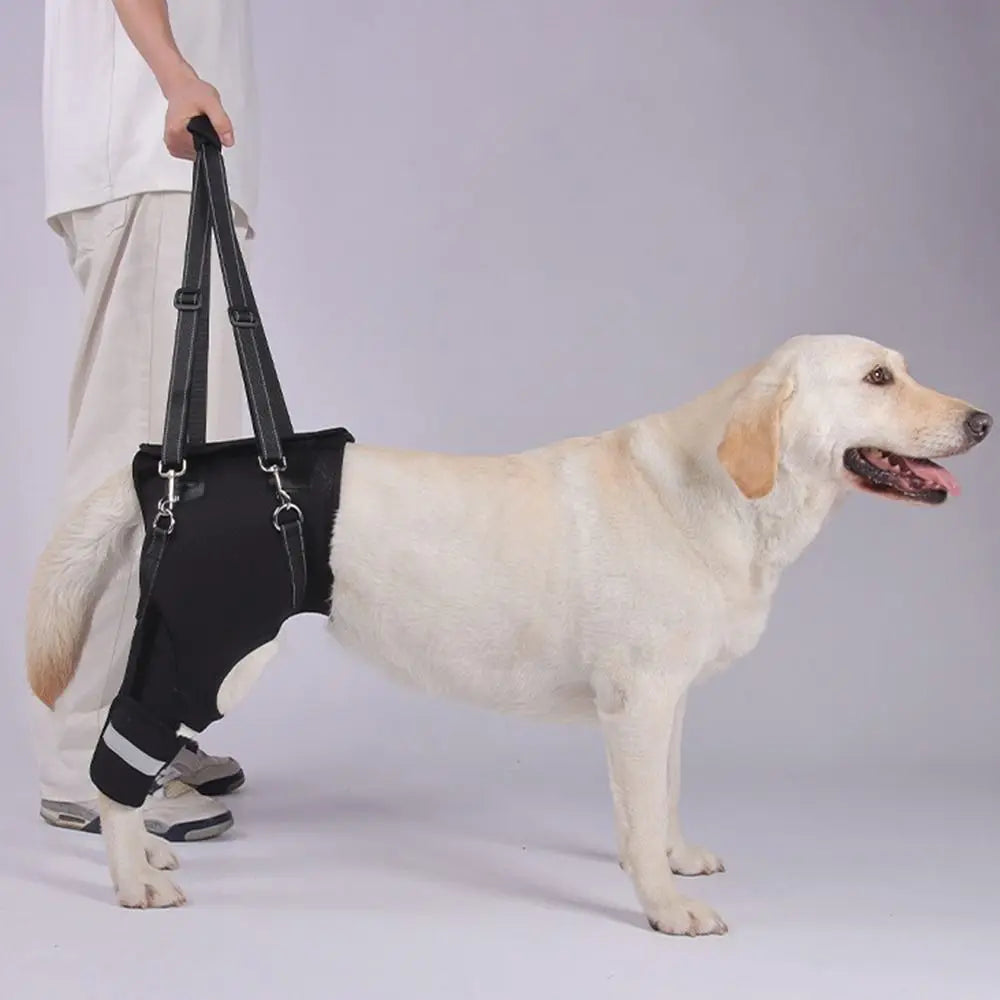 Dog Lift Harness – Rear Leg & Hip Support