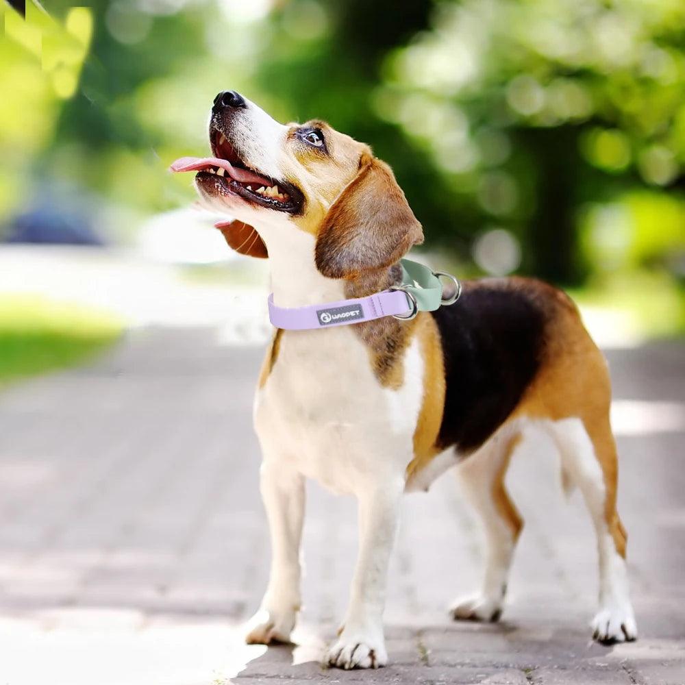PawTough Waterproof Dog Collar