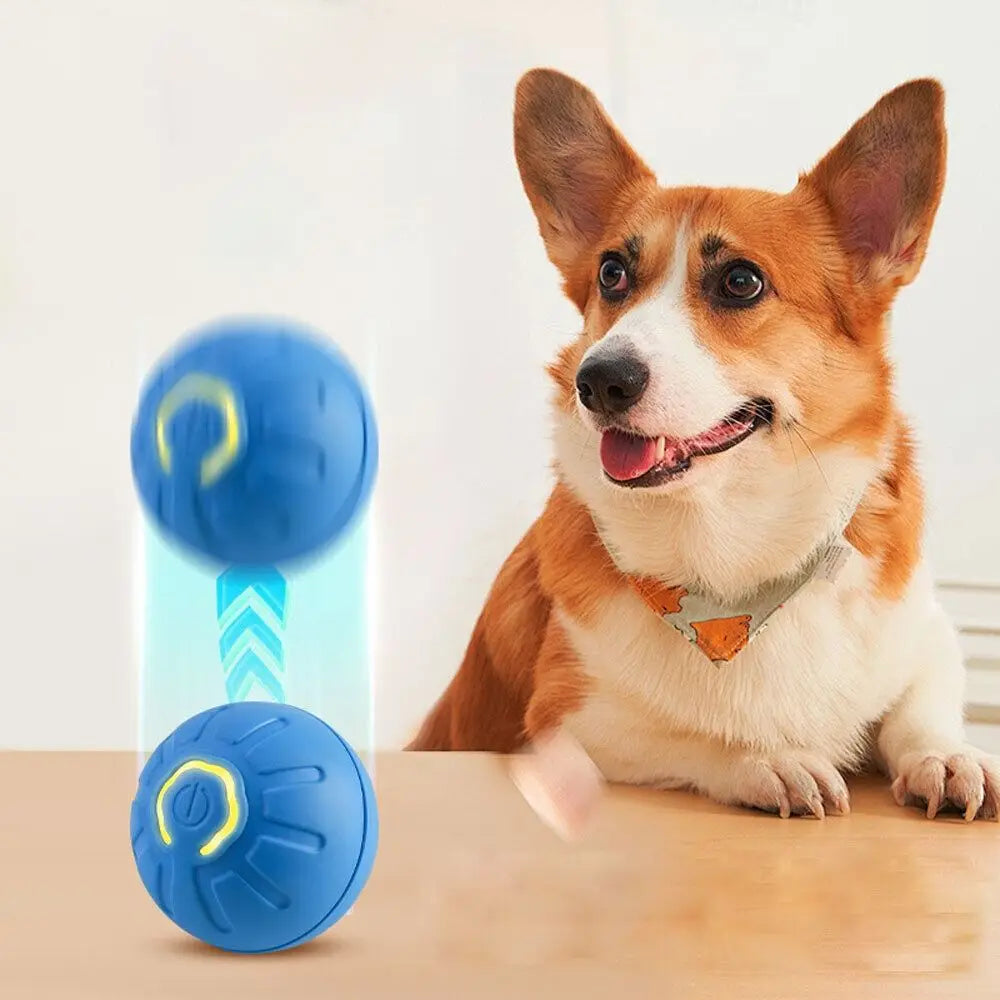 BouncyPaws Automatic Dog Ball