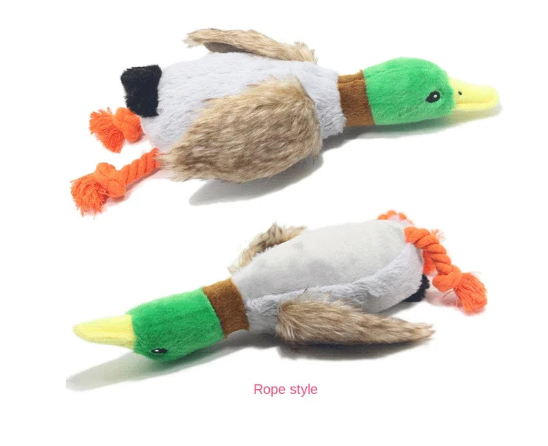 Plush Wild Duck Dog Toy with Squeaker
