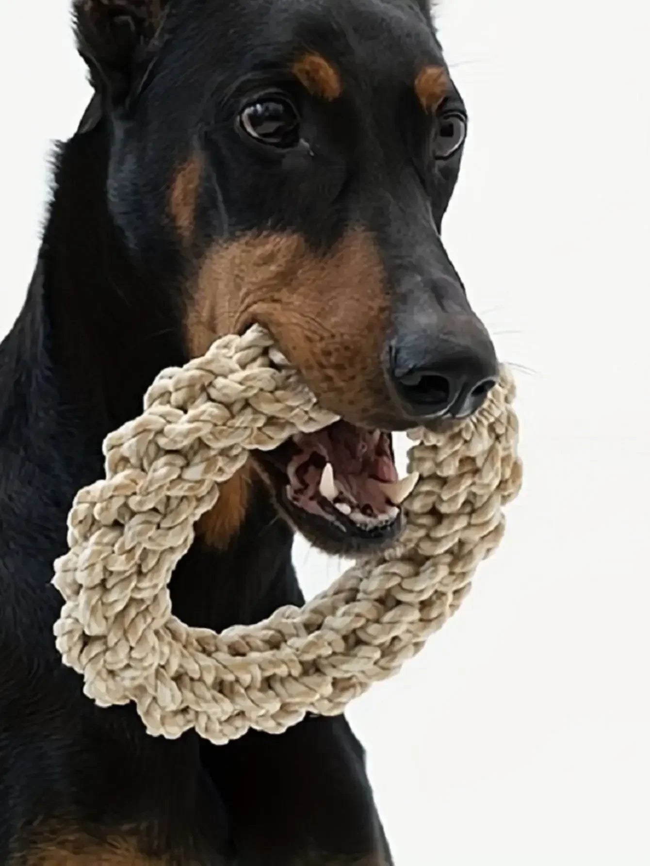 Durable Dog Rope Toy