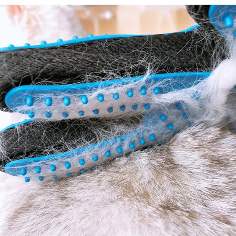 Pet Grooming Kit