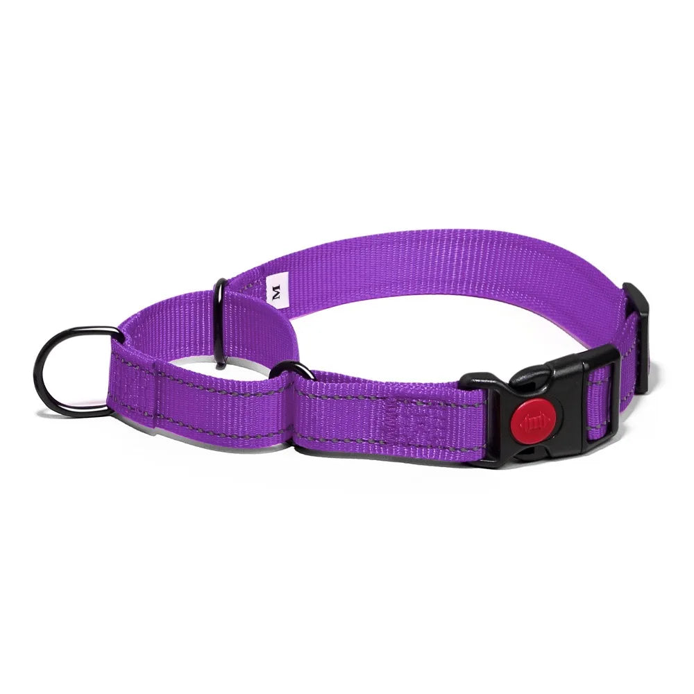 Adjustable Nylon Dog Collar with Safety Lock (2-in-1 Chain)