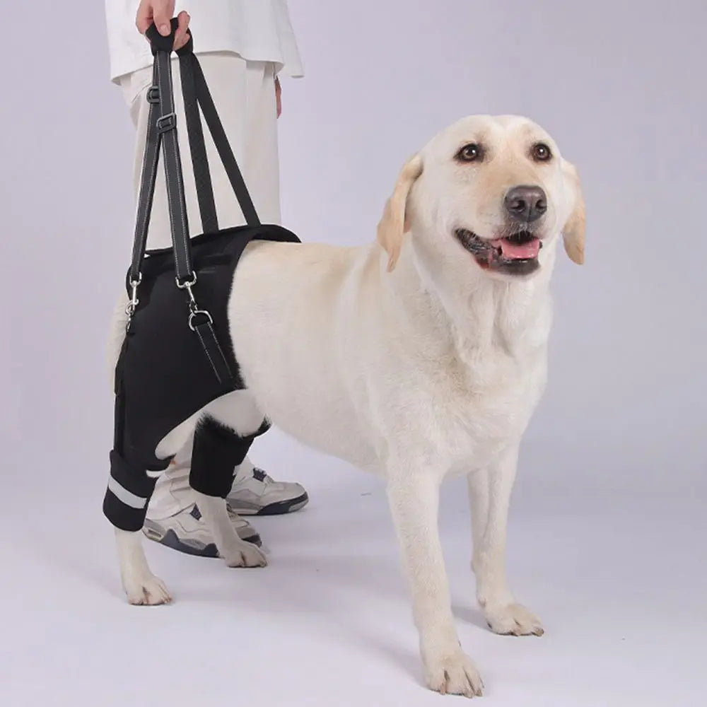 Dog Lift Harness – Rear Leg & Hip Support