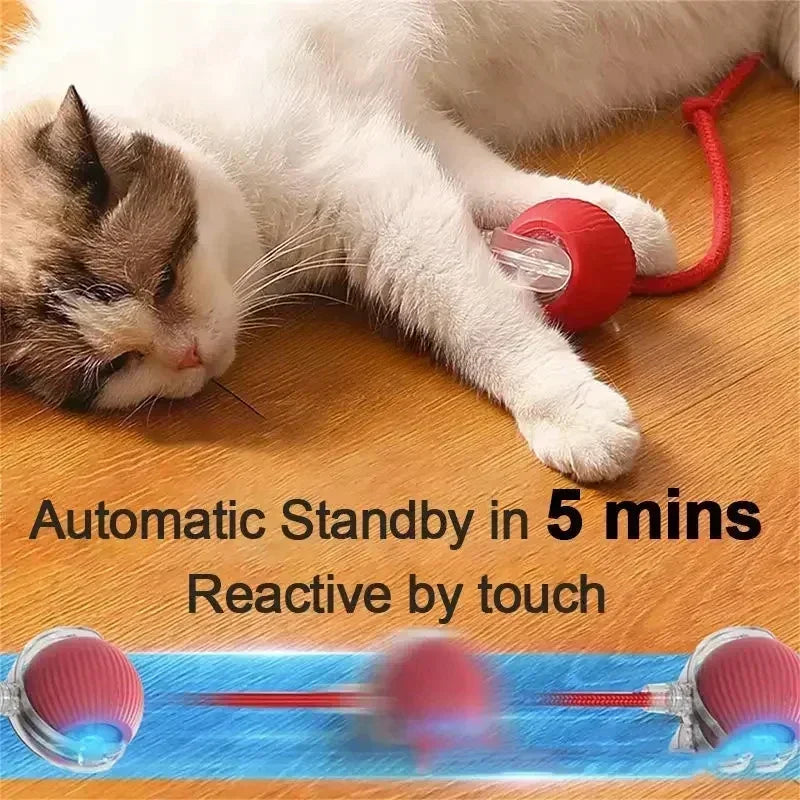 Intelligent Electric Cats Toys Rolling Ball