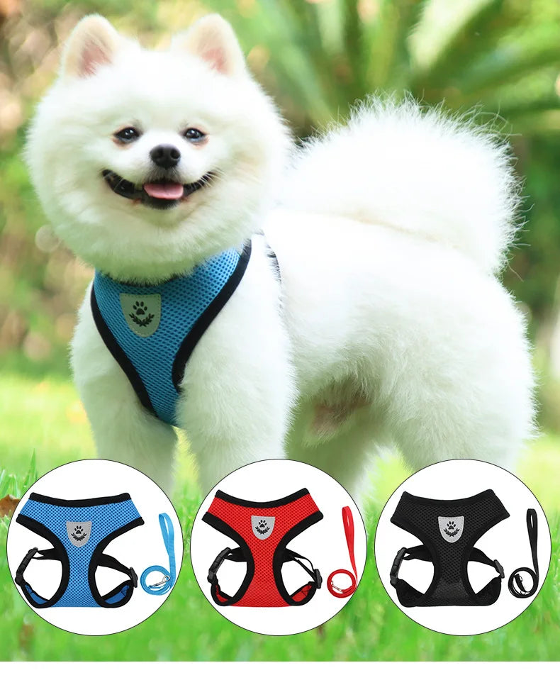 Dog Harnesses