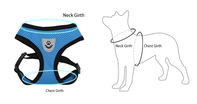 Dog Harnesses