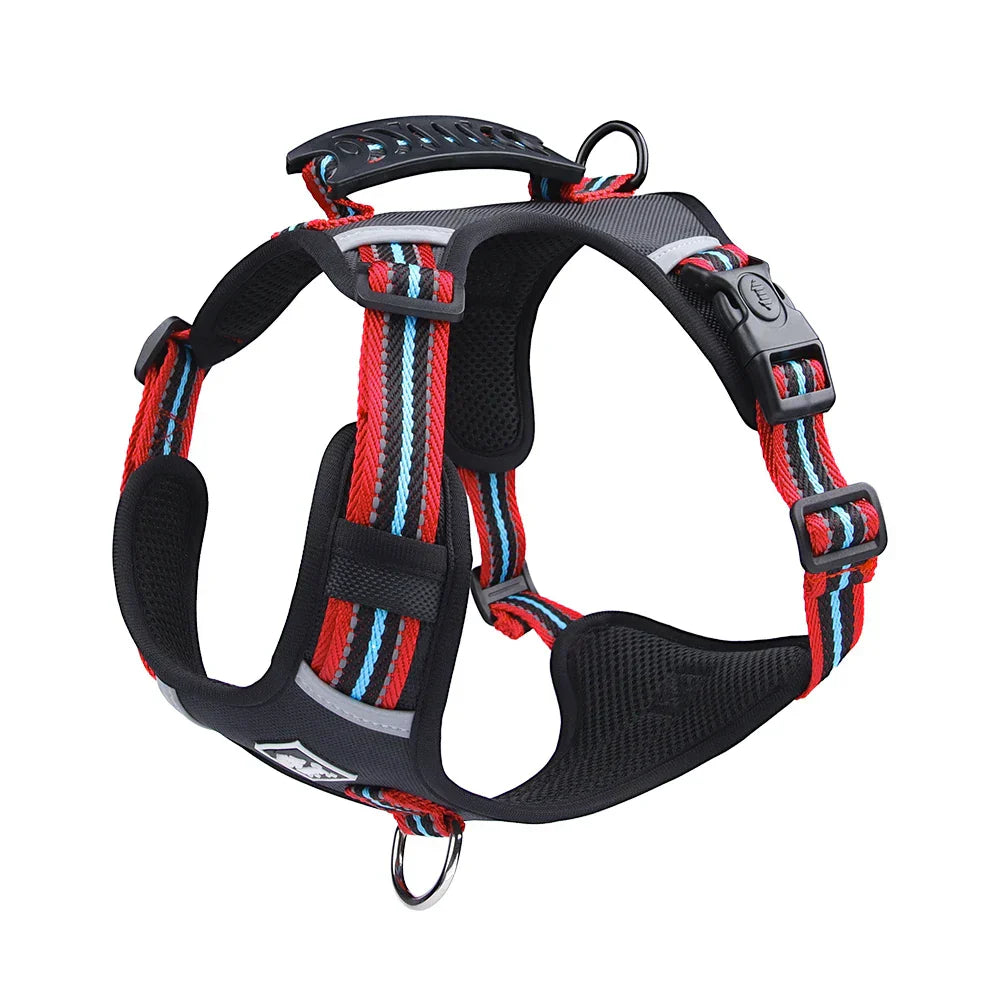 Travel Dog Harness & Lead