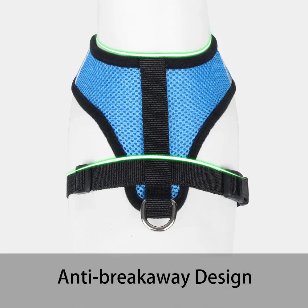Dog Harnesses