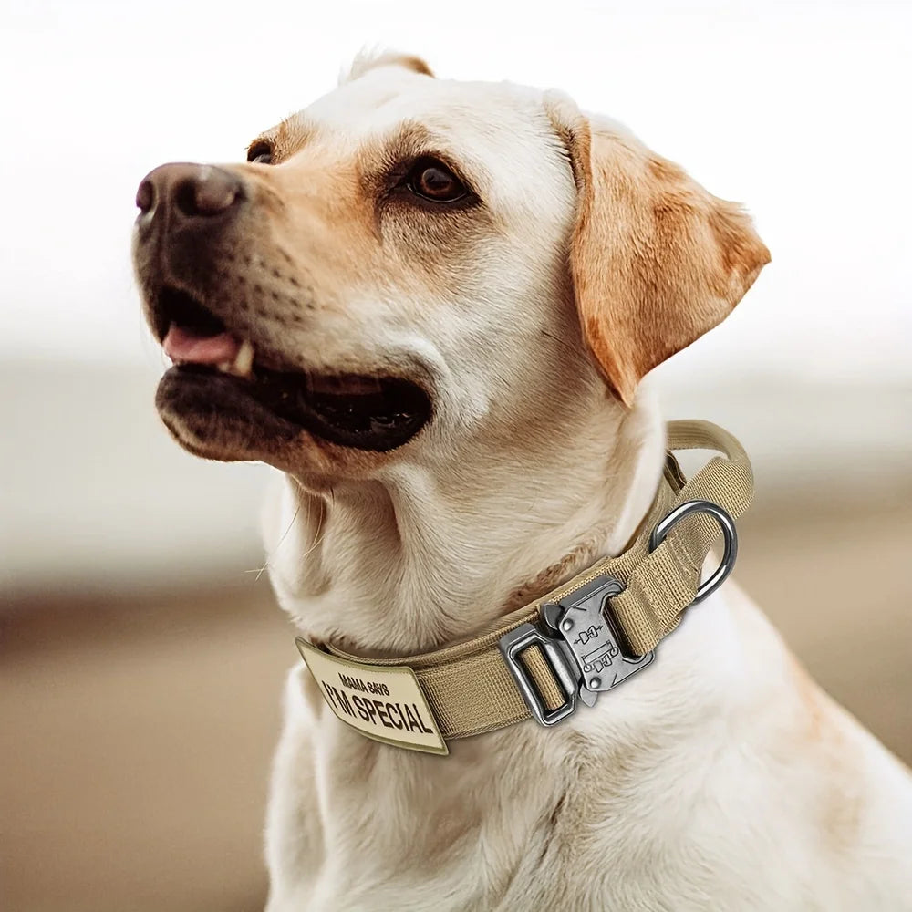 🐕 Tactical Dog Collar with Handle