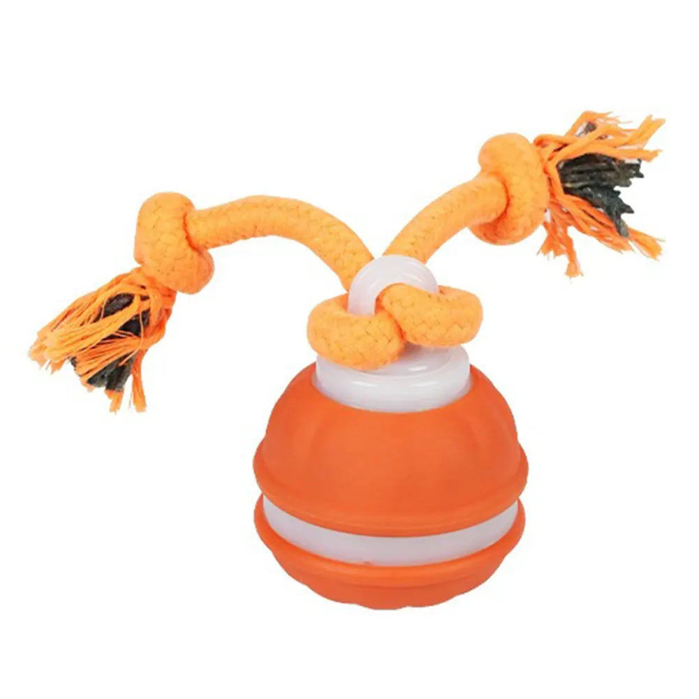 Interactive Motion Rolling Ball for Dogs