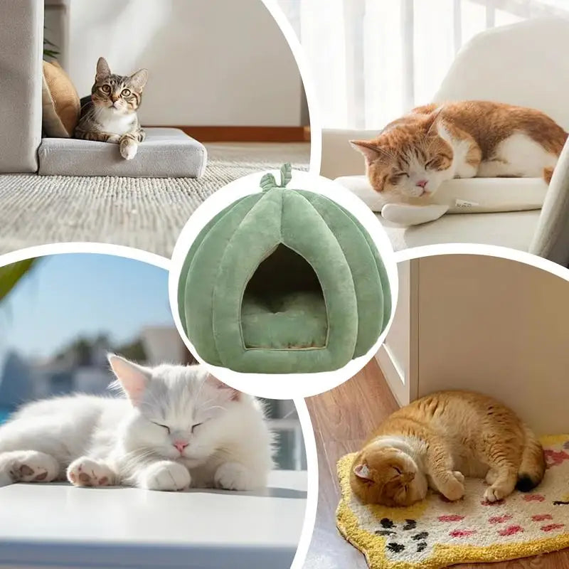 CozyNest Pumpkin Cat Bed for Deep Sleep and Winter Warmth