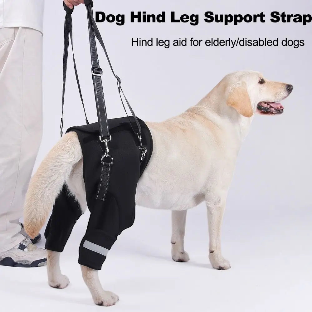 Dog Lift Harness – Rear Leg & Hip Support