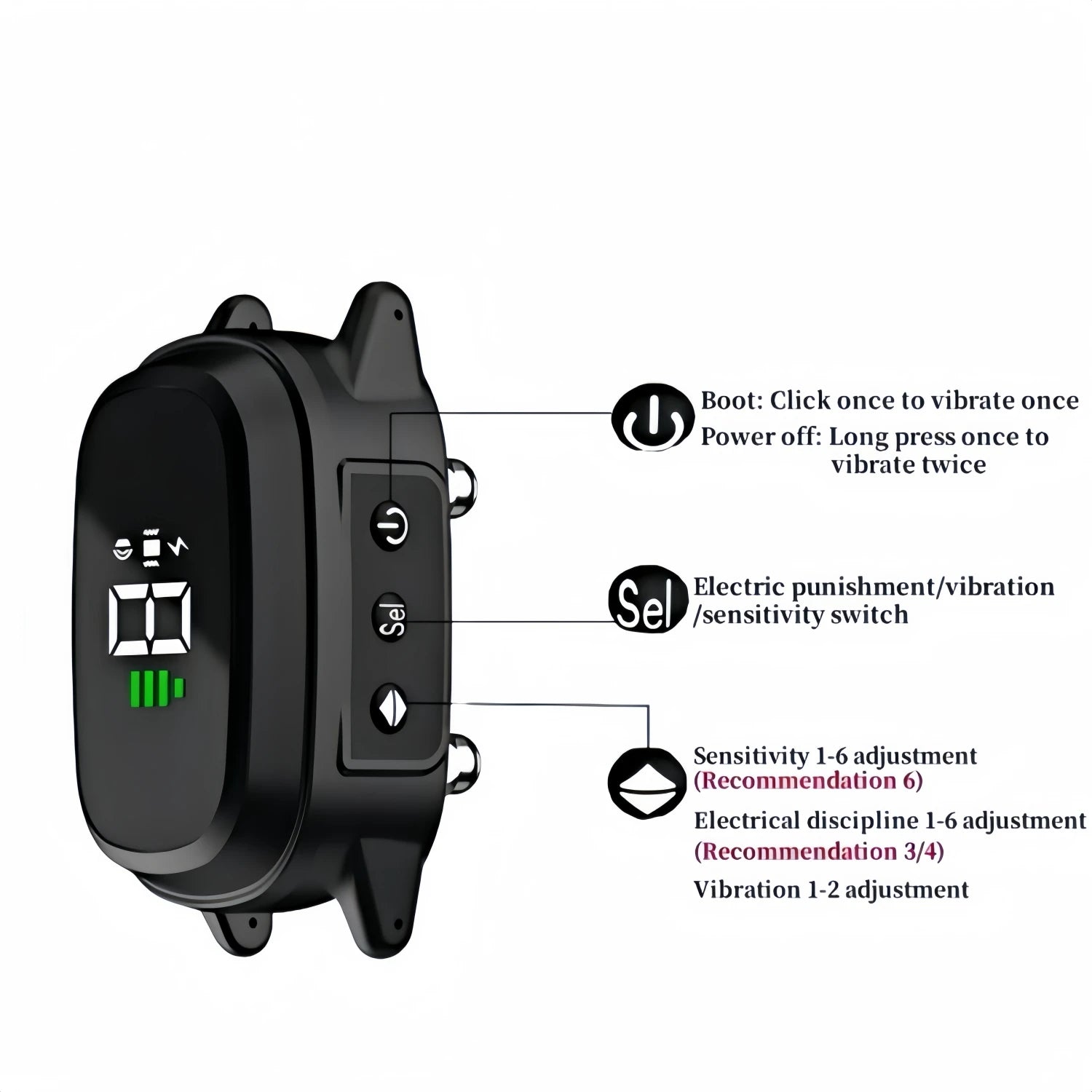 Anti-Bark Training Collar for Dogs