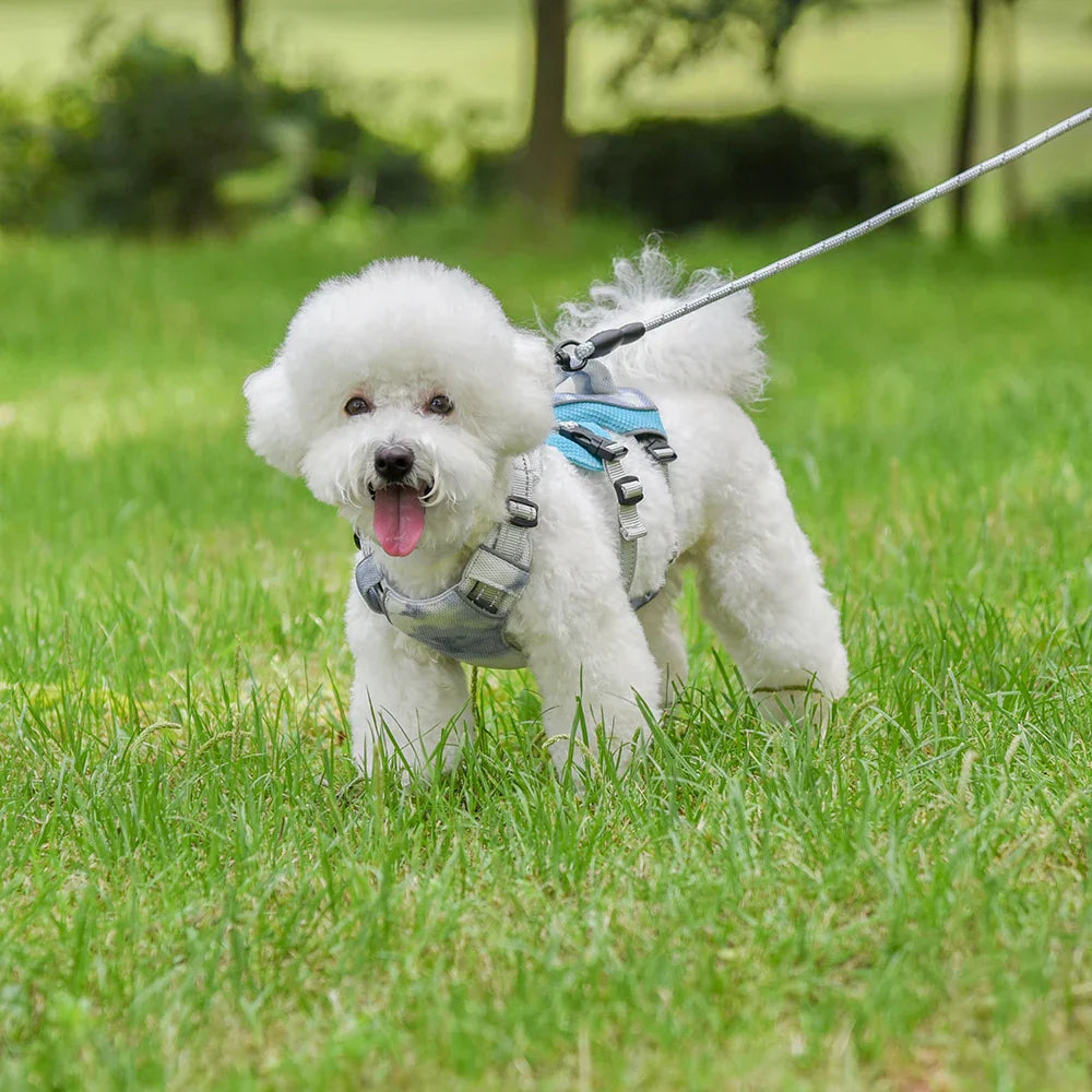Adjustable Dog Vest
