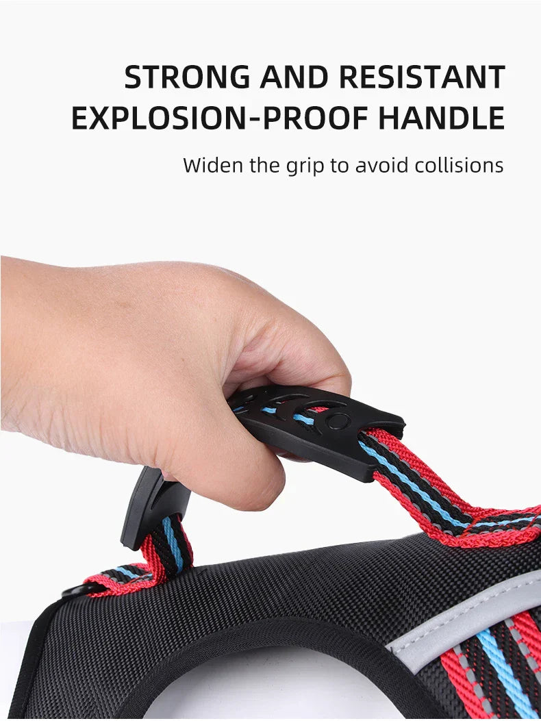 Travel Dog Harness & Lead