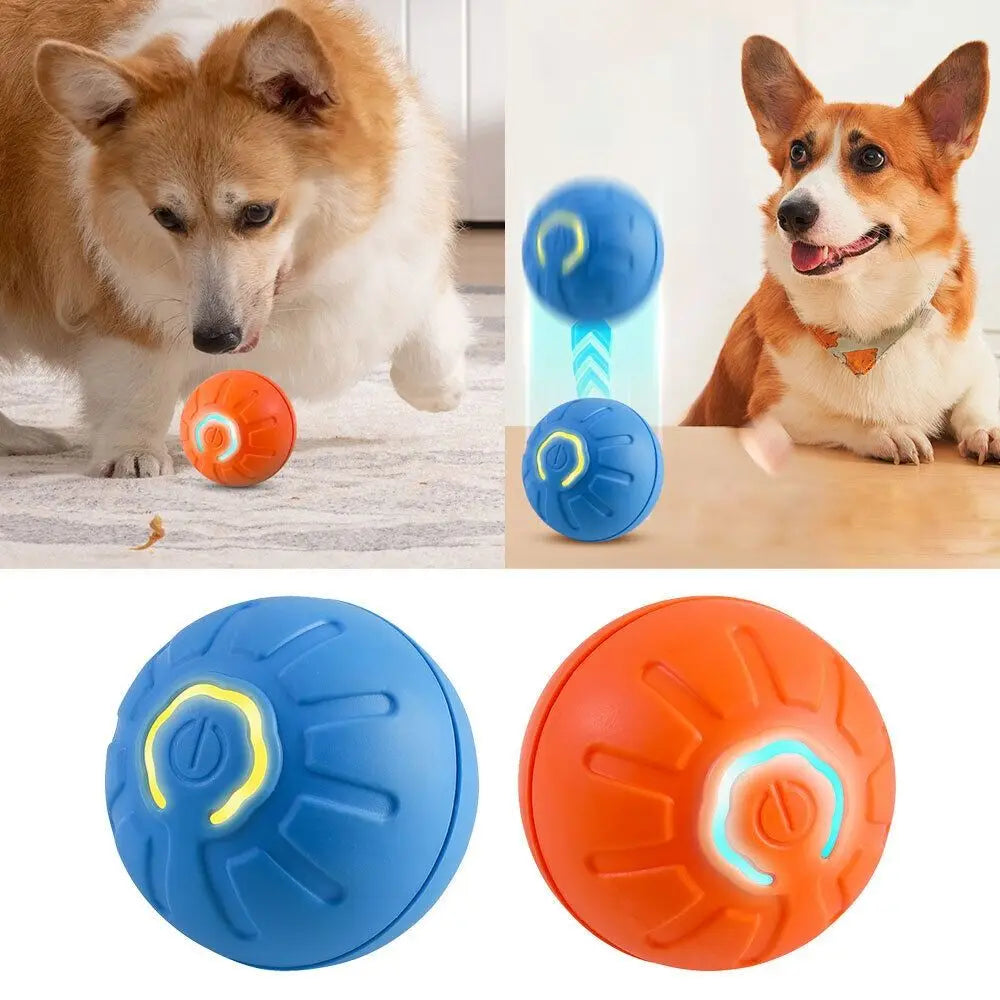BouncyPaws Automatic Dog Ball