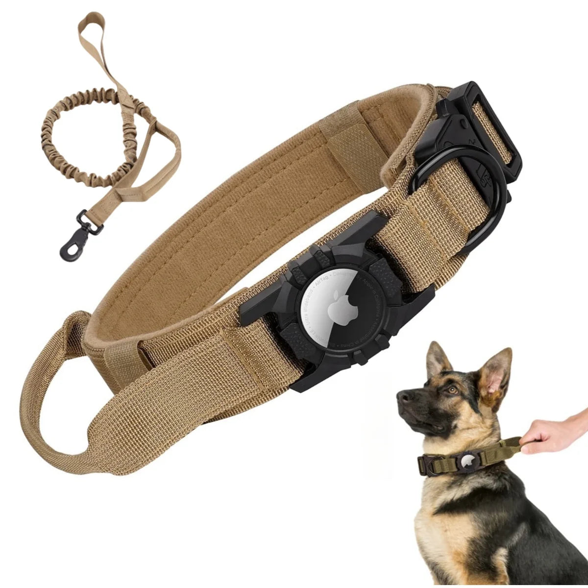 AlphaTag Military Dog Collar