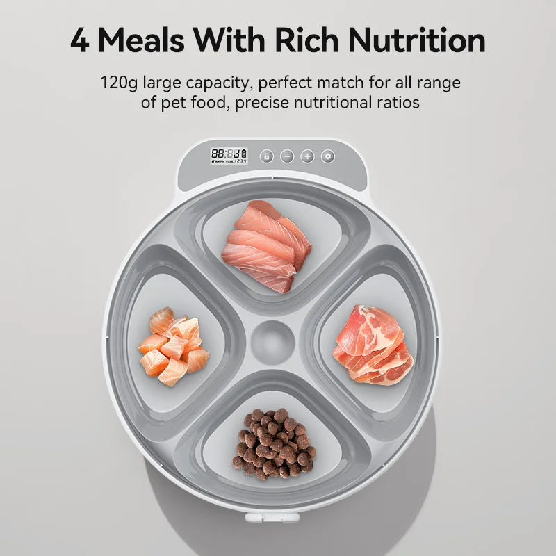 Food Dispenser For Cats
