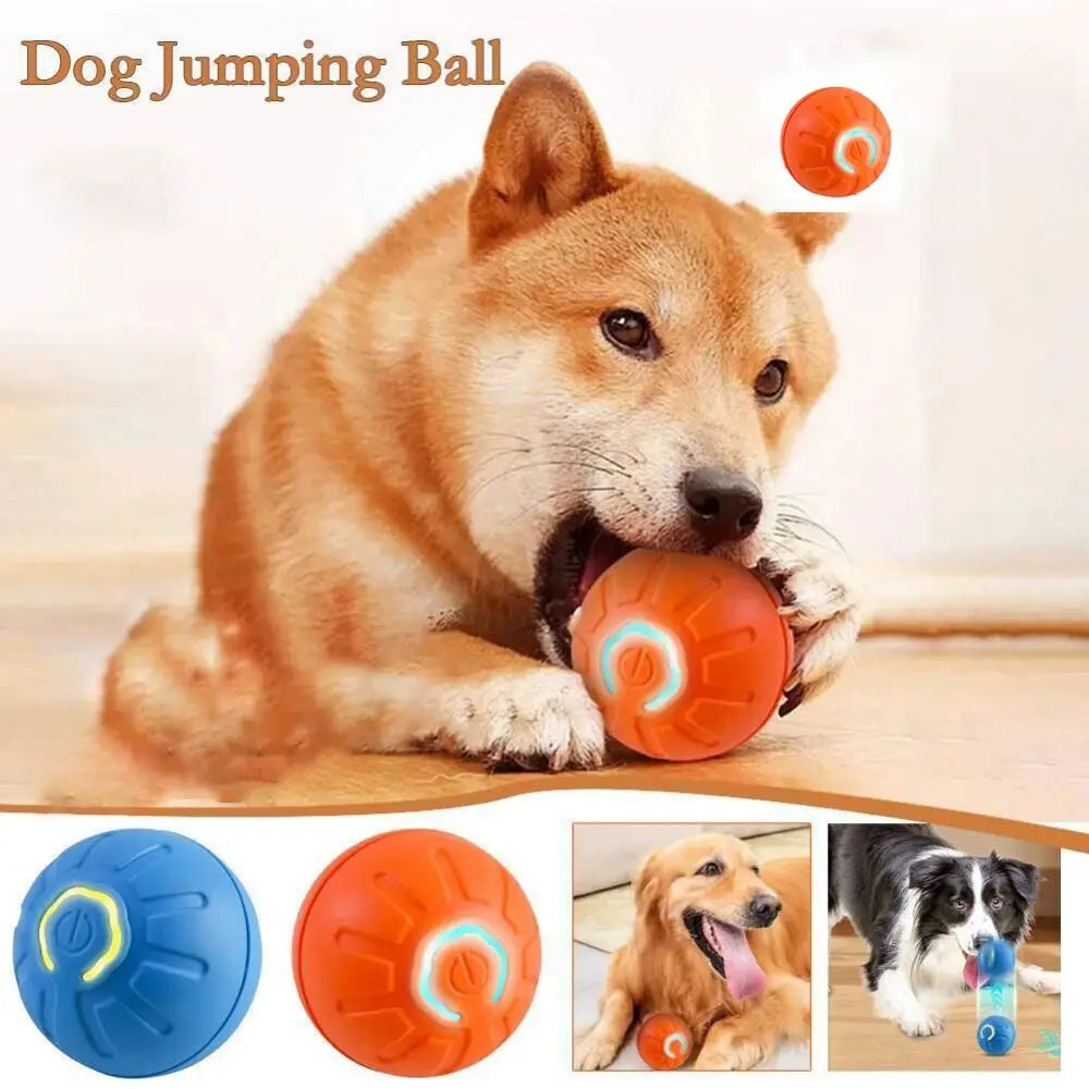 BouncyPaws Automatic Dog Ball