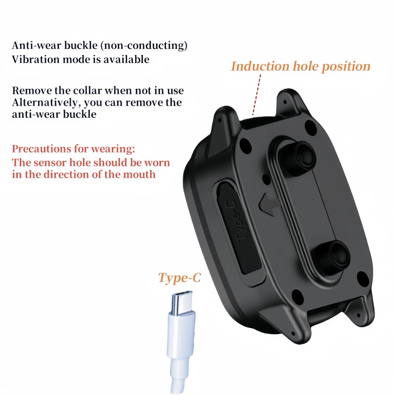 Anti-Bark Training Collar for Dogs