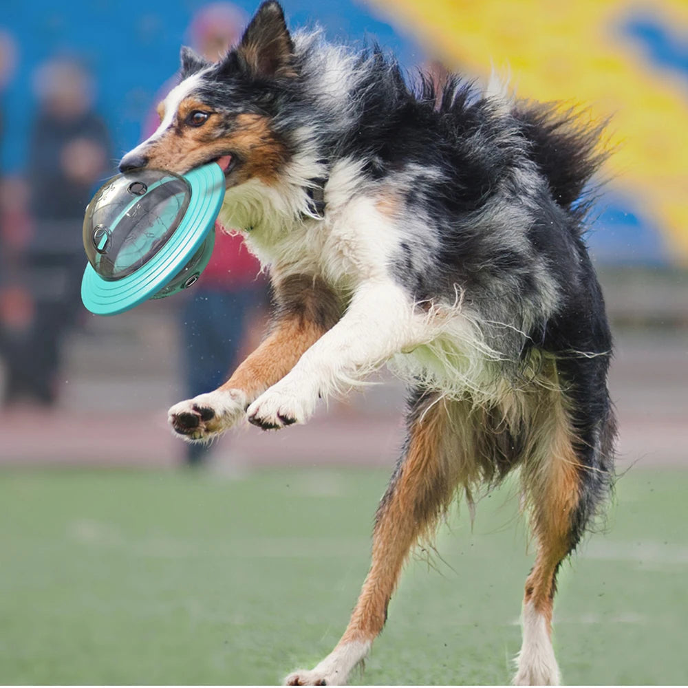 Slow Feed Interactive Dog Toy