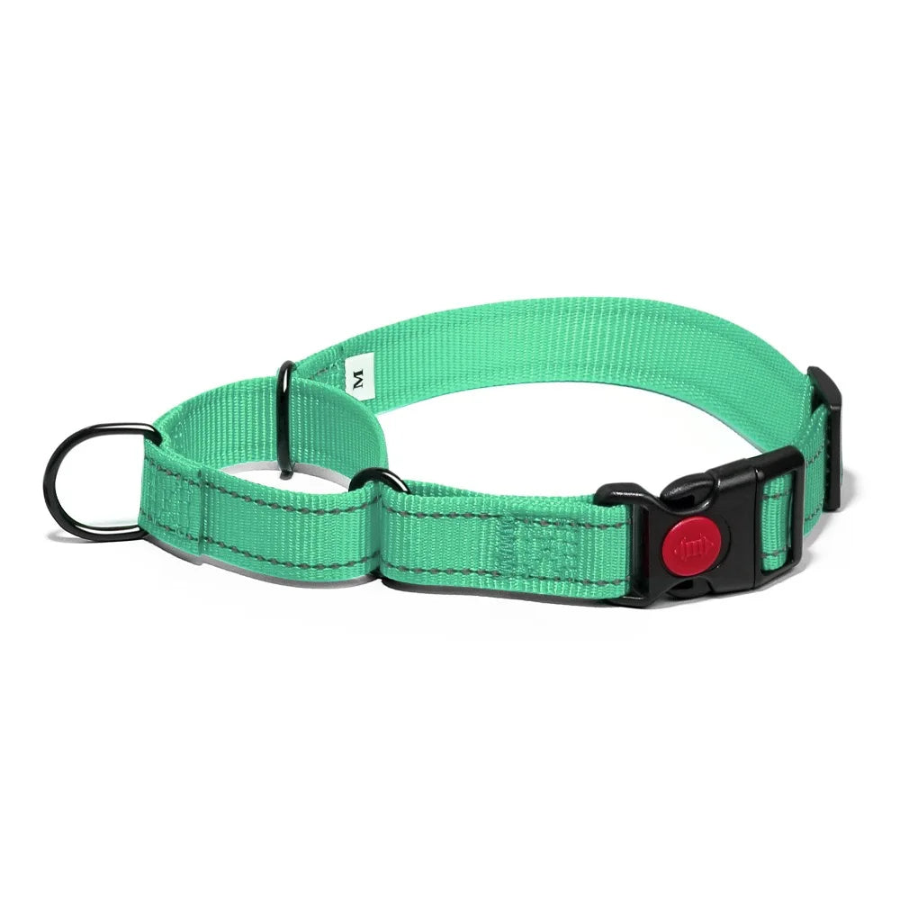 Adjustable Nylon Dog Collar with Safety Lock (2-in-1 Chain)