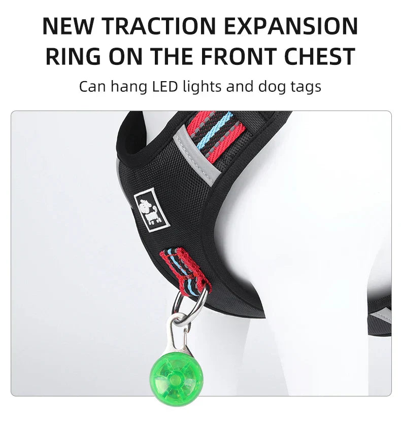 Travel Dog Harness & Lead