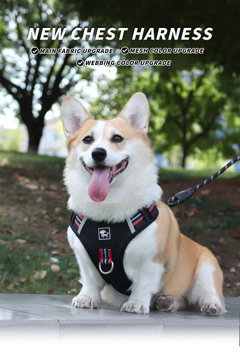 Travel Dog Harness & Lead