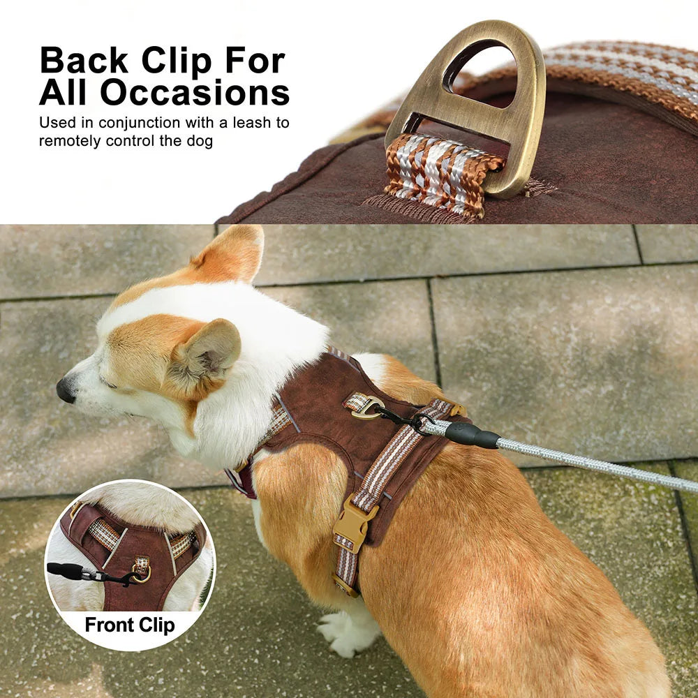 Dog Harness