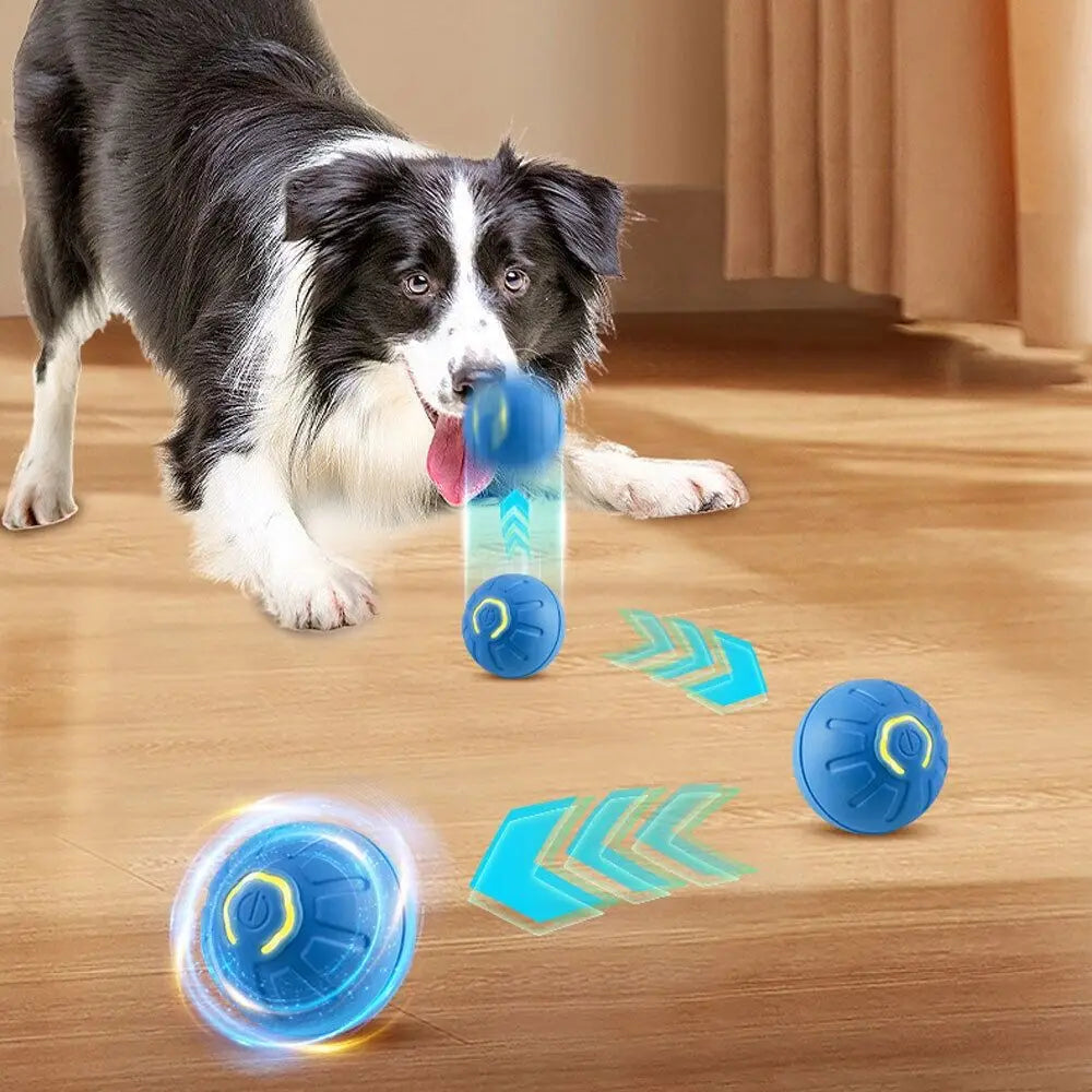 BouncyPaws Automatic Dog Ball