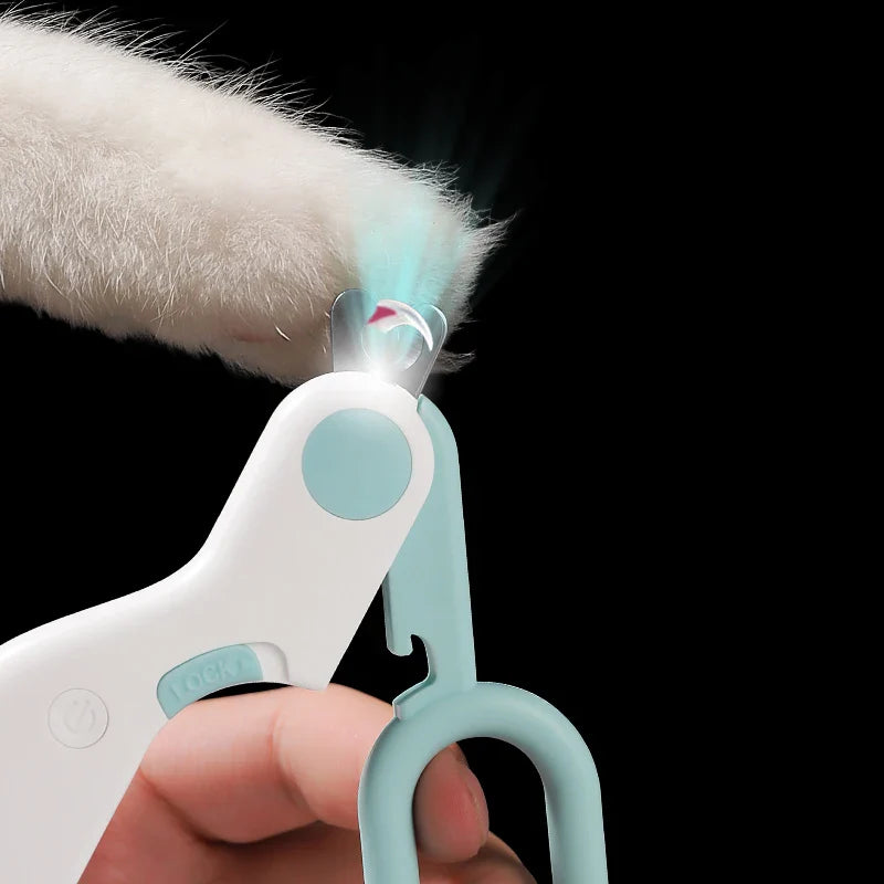 LED Light Cat