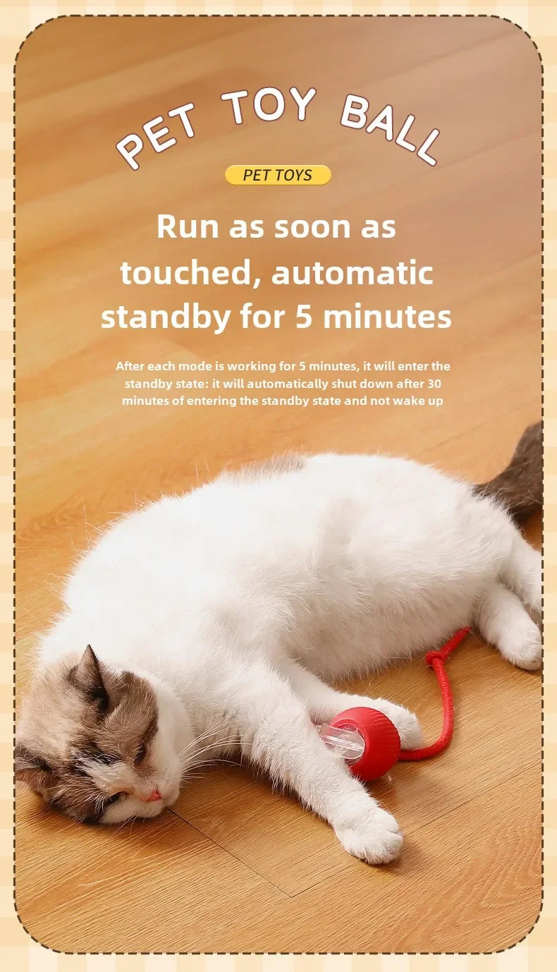 Intelligent Electric Cats Toys Rolling Ball
