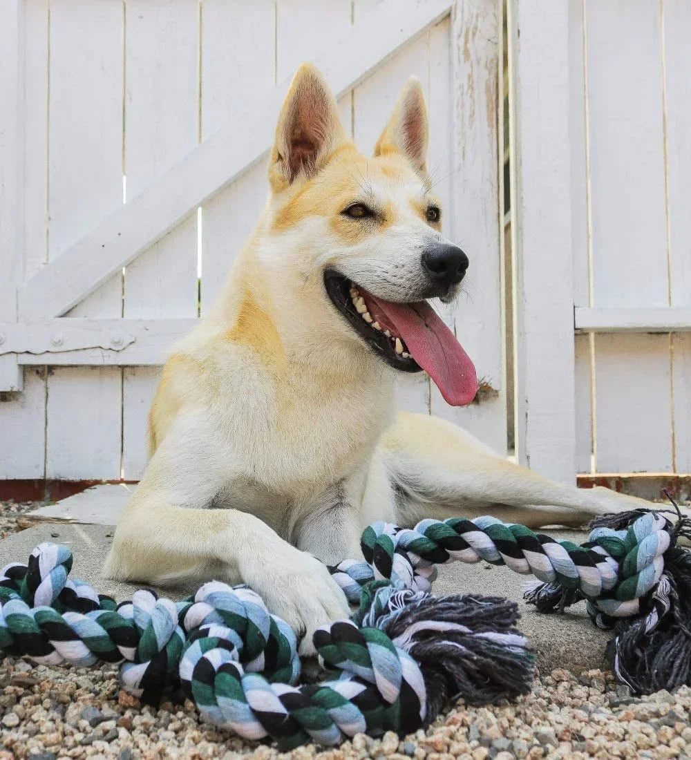 Giant Dog Rope Toy for Large Breeds