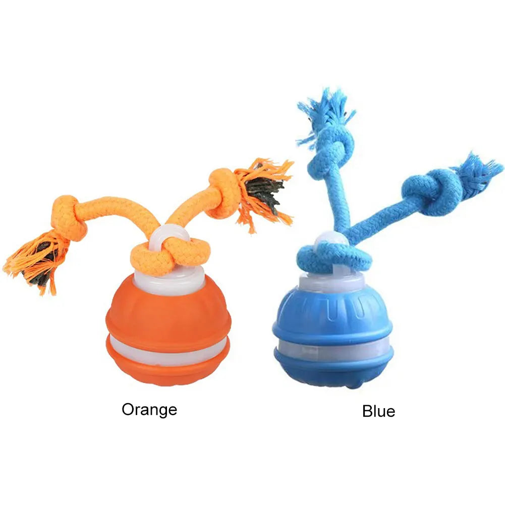 Interactive Motion Rolling Ball for Dogs