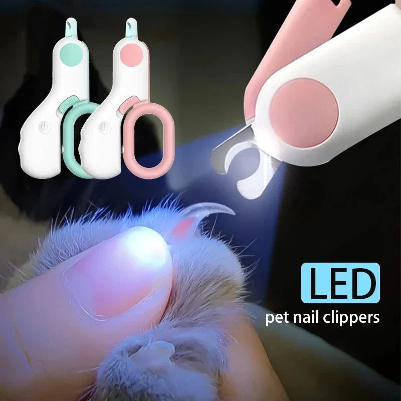 LED Light Cat
