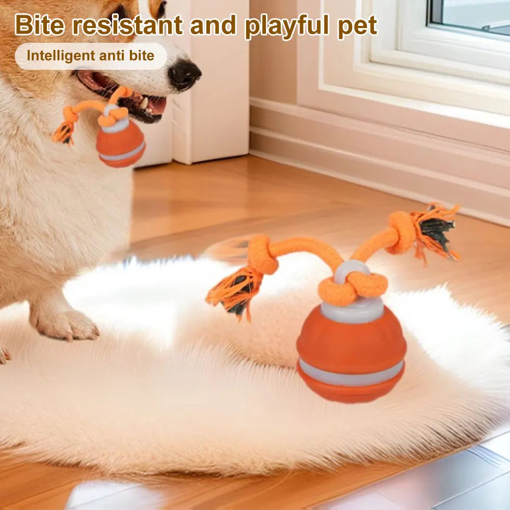 Interactive Motion Rolling Ball for Dogs