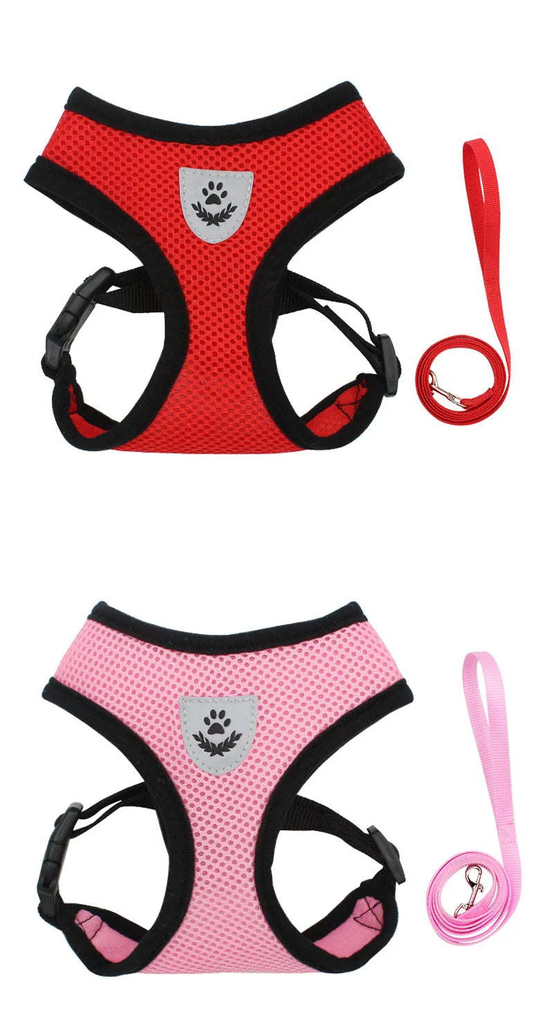 Dog Harnesses