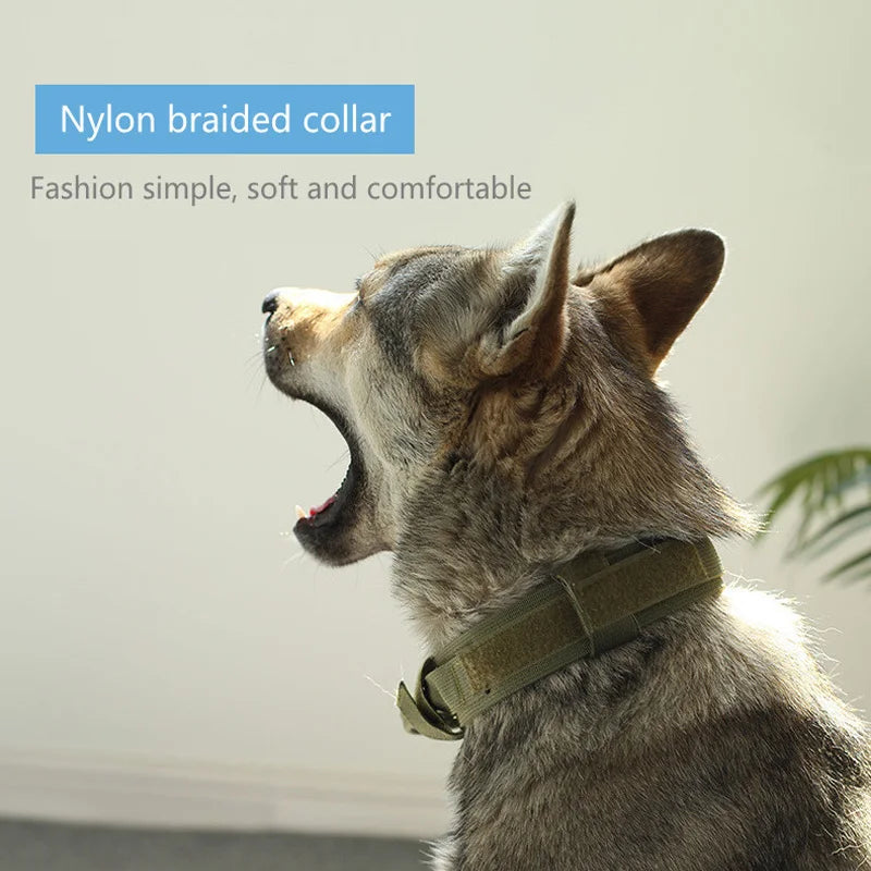 ToughPaws Tactical Dog Collar