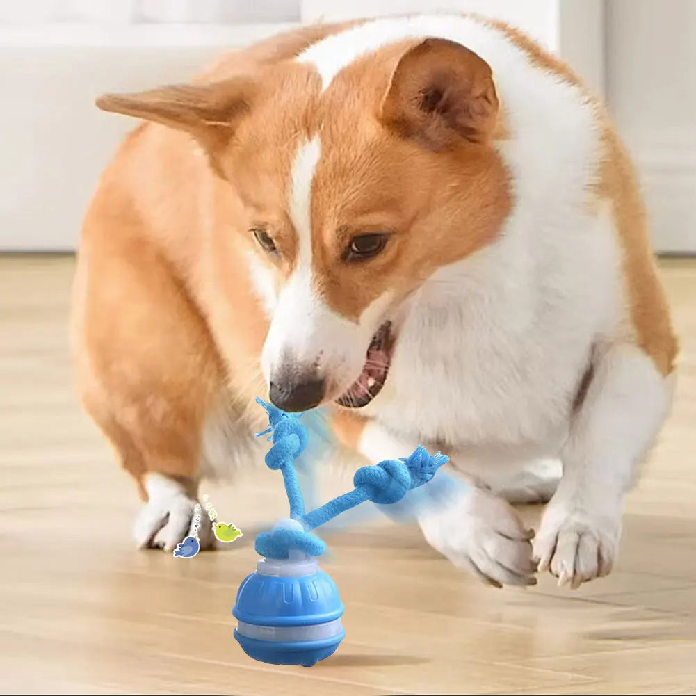 Interactive Motion Rolling Ball for Dogs