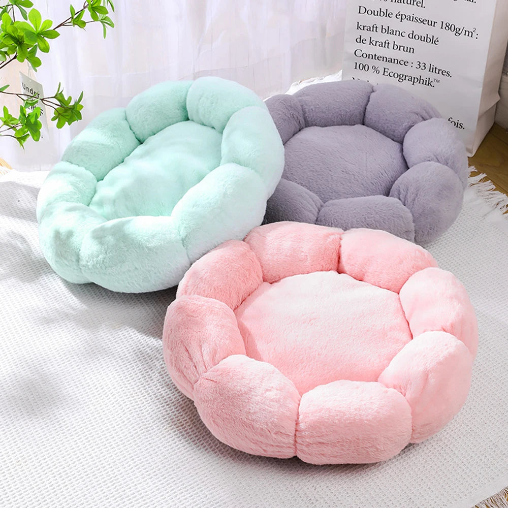 CozyBloom Pet Bed for Cats and Small Dogs