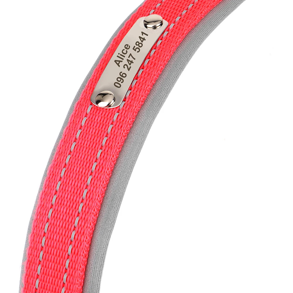 Personalized Nylon Dog Collar with Reflective ID Tag